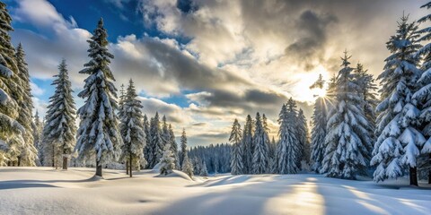 Fototapeta premium Winter Wonderland Sunlit Snow-Covered Evergreen Forest at Golden Hour
