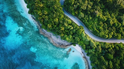 Scenic coastline road winding through lush tropical vegetation beside turquoise waters on serene island paradise