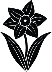 Black silhouette of Daffodil vector illustration