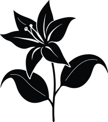 lily of the valley isolated