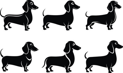 Dachshund Vector silhouette illustration of a dog on a white background design
