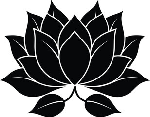 black and white lotus flower