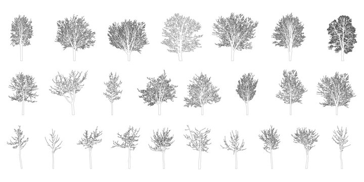 Bare deciduous trees contours, set. Beautiful different leafless trees.  Vector illustration