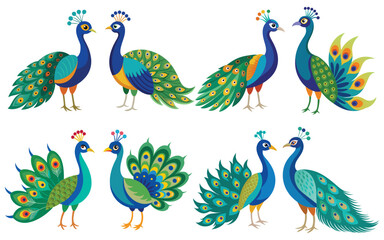 Colorful peacock illustrations set, perfect for design projects.