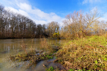 Loing river bank in the Sorques plain sensitive natural area