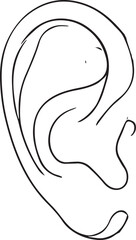 Ear Outline in Minimalist Style. Clean White Background