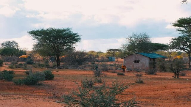 Portrait of people in an African village. Aerial view of huts among trees. Everyday life on the streets, green forests, and vegetation. African village life.
