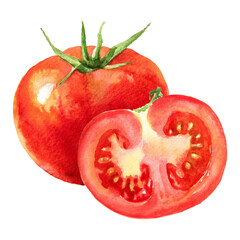 watercolor illustration of a red tomato isolated