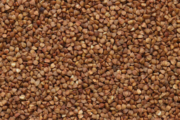 Buckwheat groats, top view. Raw large buckwheat grains, uncooked porridge. Buckwheat background. Raw buckwheat texture background, brown grains pattern