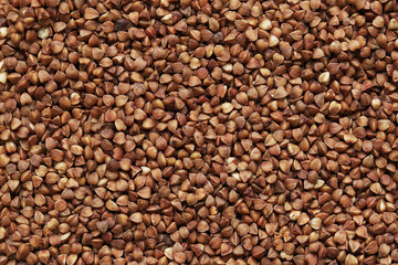 Buckwheat groats, top view. Raw large buckwheat grains, uncooked porridge. Buckwheat background. Raw buckwheat texture background, brown grains pattern
