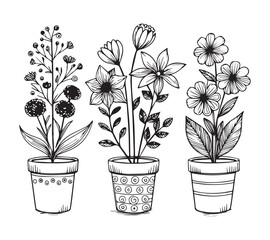 Black and white Set of continuous one line drawing of a flowers in a pots