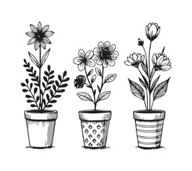 Black and white Set of continuous one line drawing of a flowers in a pots