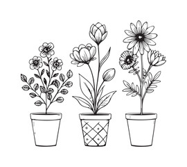 Black and white Set of continuous one line drawing of a flowers in a pots