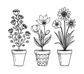 Black and white Set of continuous one line drawing of a flowers in a pots