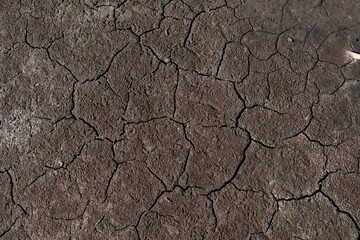 Close-up of Dry Salt Lagoon Floor with Beautiful Cracked Earth Textures