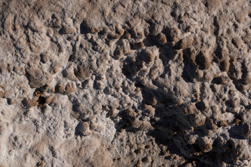 Close-up of Dry Salt Lagoon Floor with Beautiful Cracked Earth Textures