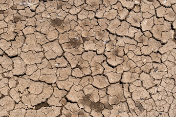 Close-up of Dry Salt Lagoon Floor with Beautiful Cracked Earth Textures