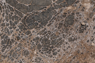 Close-up of Dry Salt Lagoon Floor with Beautiful Cracked Earth Textures