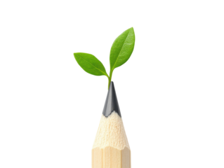Isolated Pencil with Sprout