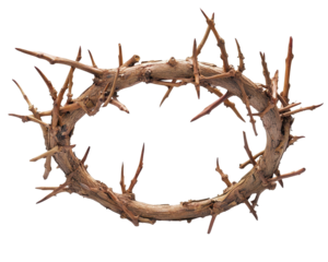 Isolated Detailed Crown of Thorns