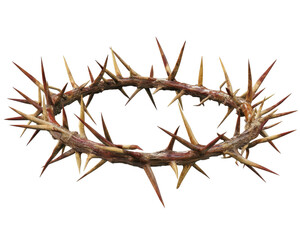 Isolated Crown of Thorns