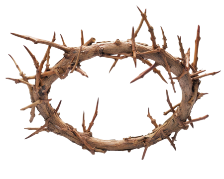 Isolated Detailed Crown of Thorns