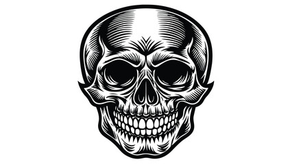 Vintage human skull tattoo concept