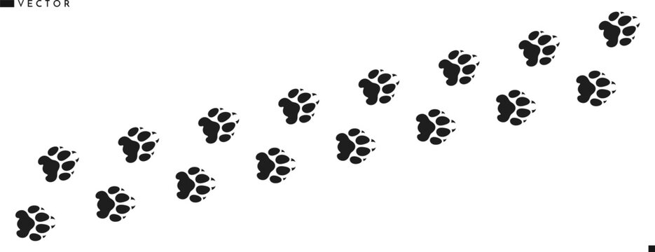 Puma paw prints silhouette. Wild animal. Leopard paw prints vector
