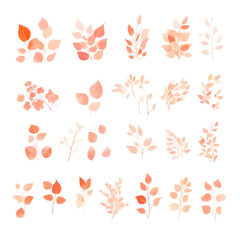 Watercolor vector set of pastel leaves and flowers