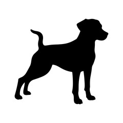 Dog silhouette 