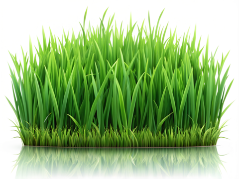 A realistic fresh green grass horizontal isolated on transparent background
