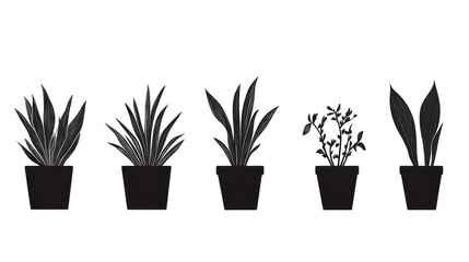 Obraz premium Five potted plants silhouettes. (1)