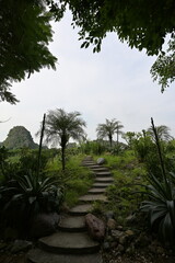 A beautiful tropical garden in the mountains of Hanoi-Vietnam.