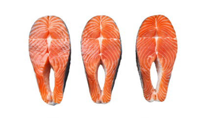 Fresh Salmon Slices Ready for Culinary Delights