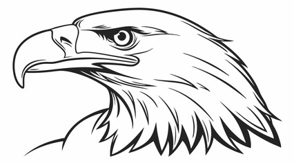 Majestic Bald Eagle Head Profile 