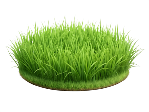 Circle background of green grass isolated on transparent background.