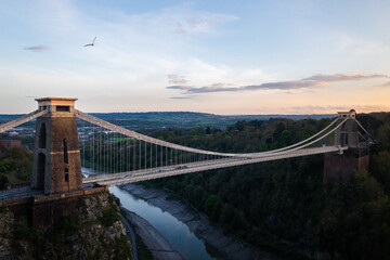 Seagull flying over Bristol Suspension Bridge at sunset