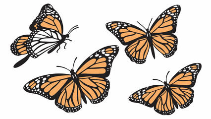 Monarch Butterflies in Flight: A vibrant collection of monarch butterflies in graceful flight, showcasing their intricate wing patterns and delicate beauty.