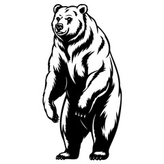 Standing Grizzly Bear Silhouette Vector - Bold Wildlife Illustration
