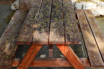 Fototapeta premium bench for rest in the city park