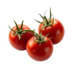 Fresh Red Tomatoes on Vine  Juicy  Ripe  Organic  Healthy  Culinary  Food Photography