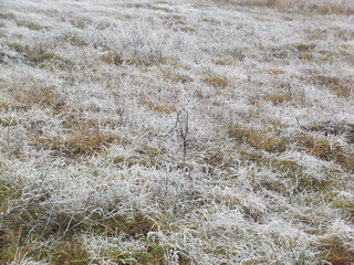  The first snow fell on the autumn grass