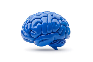 3d human brain isolated on white background