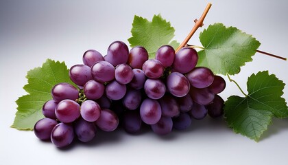 a cluster of purple grapes with green leaves on a light background showcasing their fresh and juicy appearance