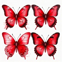 Obraz premium set of red butterflies isolated on a white background.