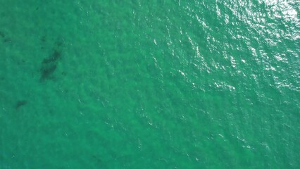 Water Background