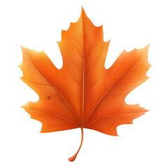 Obraz premium Autumn Maple Leaf Fall Foliage Nature Orange Season Leaf Design