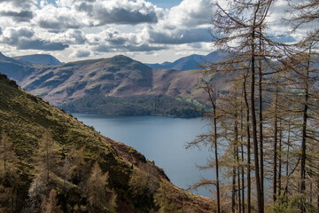 Trees and mountains at the lake