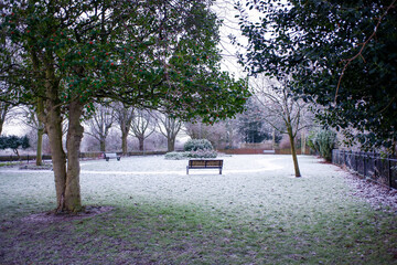 Bench in the park during winter