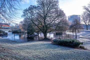 Flooded, frozen park during winter in the city